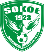 logo Sokół Dąbrówka Wlkp.