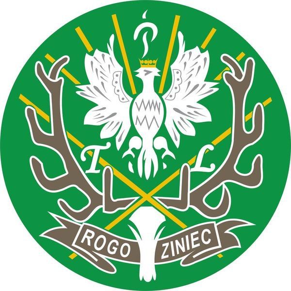 Obrazek główny dla organizacji sportowej Zespół Szkół Leśnych w Rogozincu
