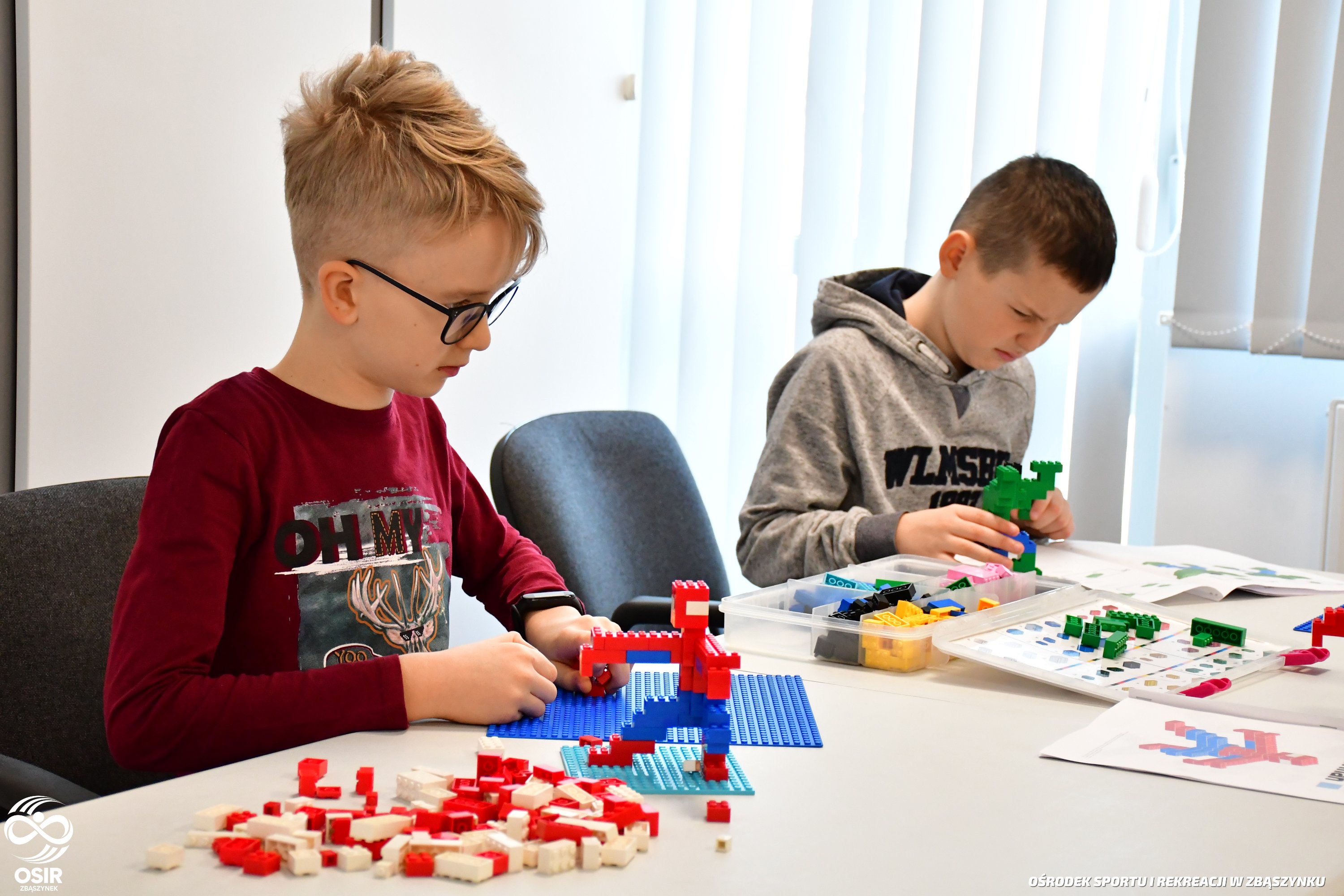 Obrazek główny dla artykułu ZAJĘCIA Z LEGO BRICKS 4 KIDS NOWY TOMYŚL